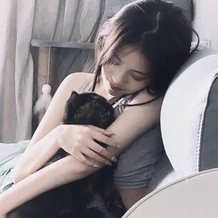 龙之心3:巫师的诅咒